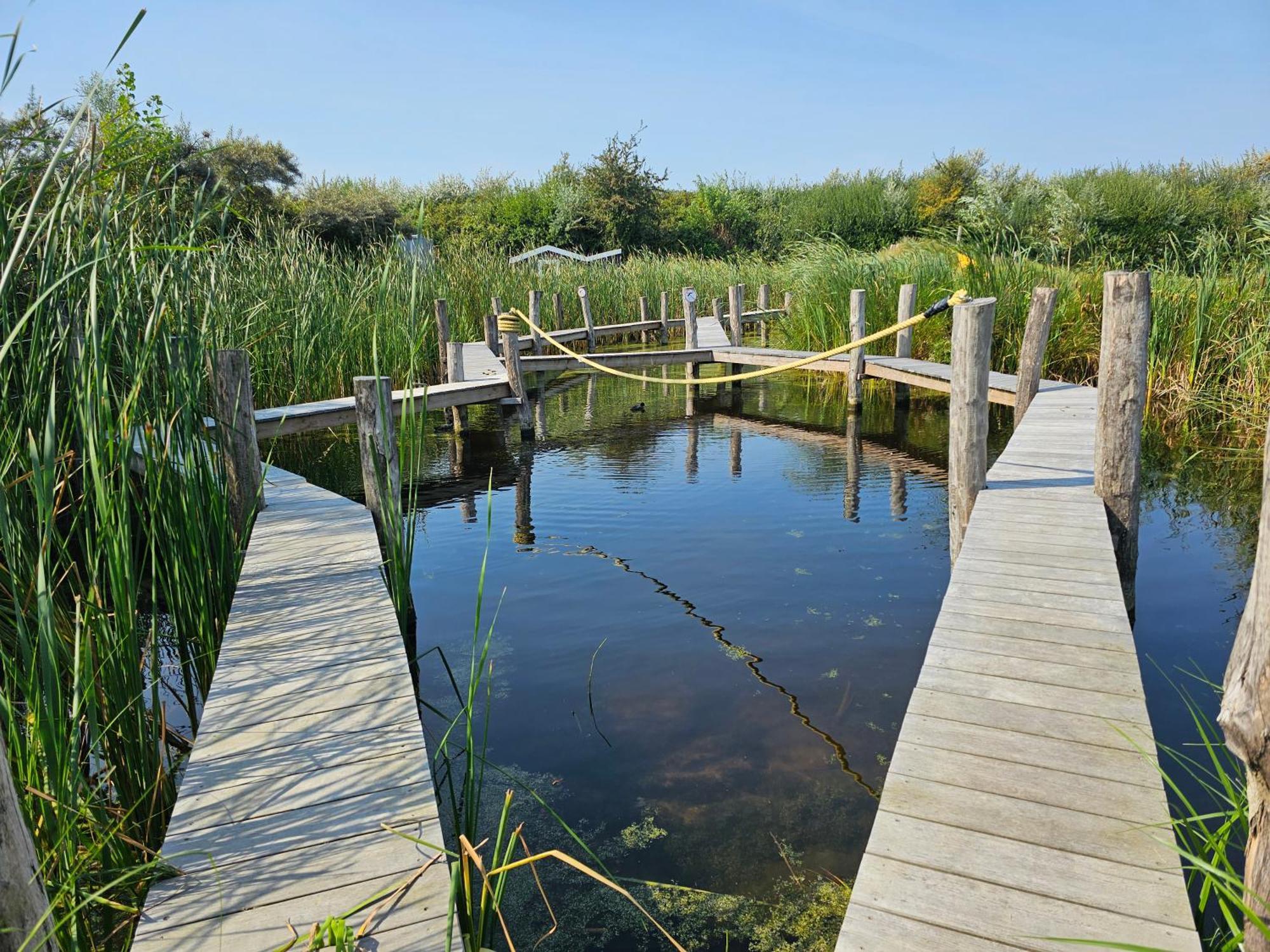 Olmenduin Chalet Olm Zeeland Serooskerke  Ngoại thất bức ảnh
